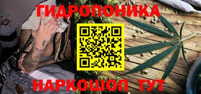 шишки Балаково