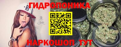 шишки Балаково