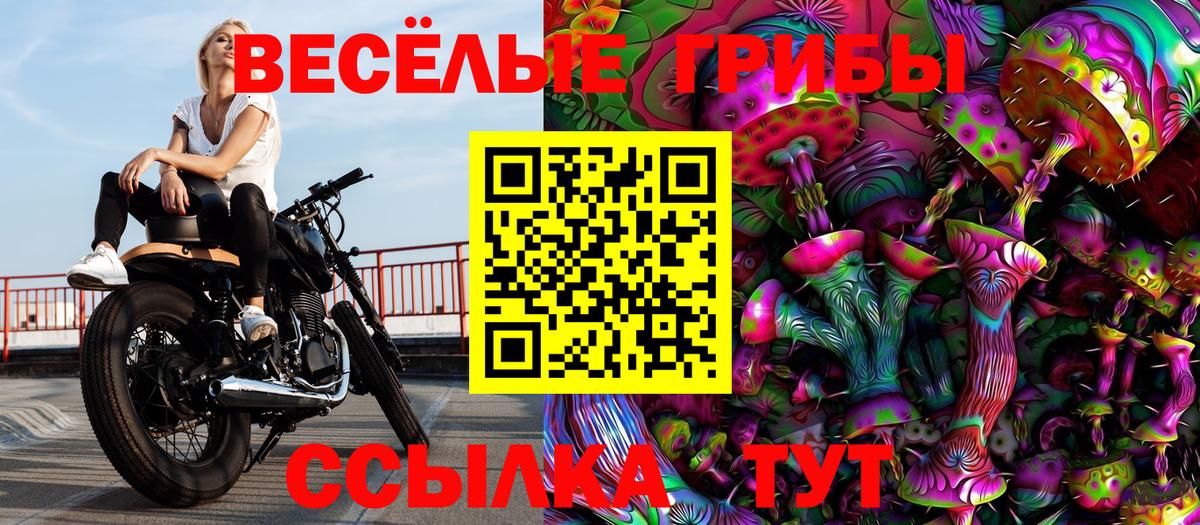 Берёзовский  Псилоцибиновые грибы Psilocybine cubensis  Вход с VPN  Галлюциногенные грибы Psilocybe 