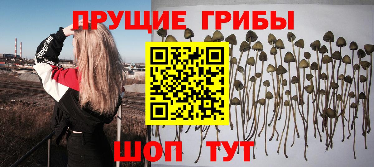 Галлюциногенные грибы MAGIC MUSHROOMS Берёзовский